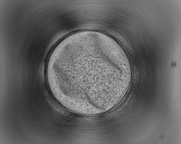 X0000102511078200809051404