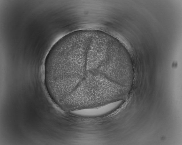 X0000102511079200809051404
