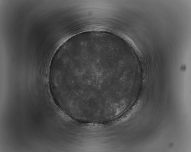 X0000102511081200809051404