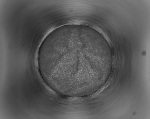 X0000102511083200809051404