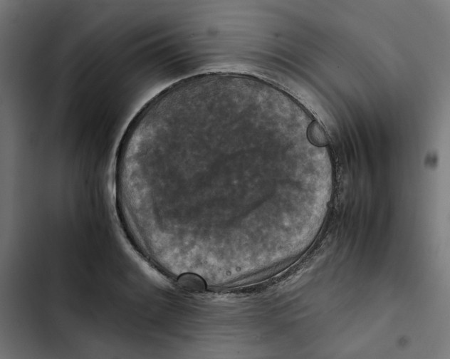 X0000102511084200809051404
