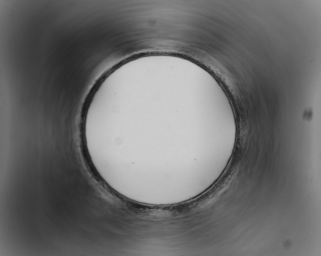 X0000102511085200809051404