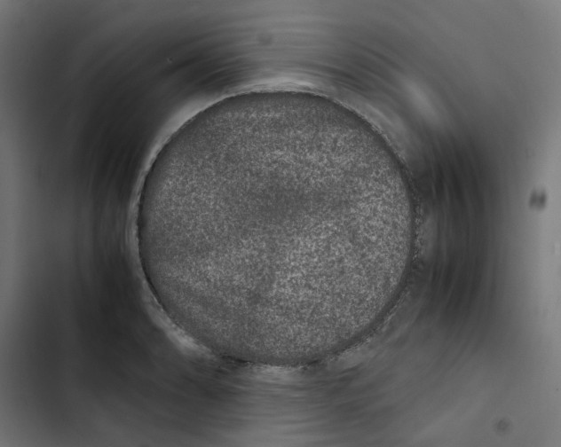 X0000102511086200809051404