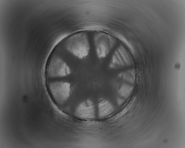 X0000102511087200809051404