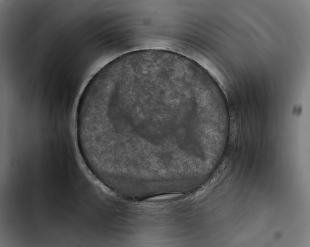 X0000102511088200809051404
