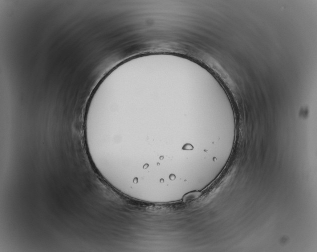 X0000102511089200809051404
