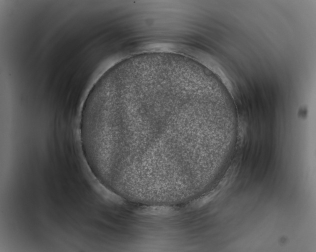 X0000102511090200809051404
