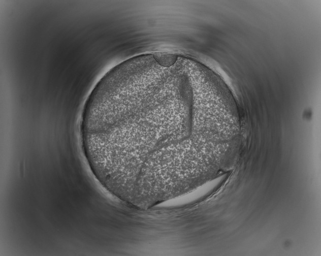 X0000102511091200809051404