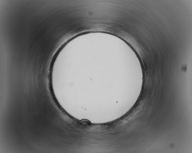 X0000102511093200809051404