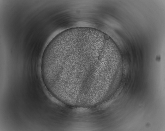 X0000102511094200809051404
