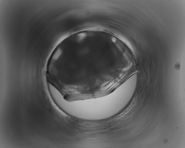 X0000102511095200809051404