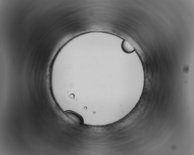 X0000102511096200809051404