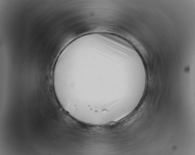 X0000102511097200809051404