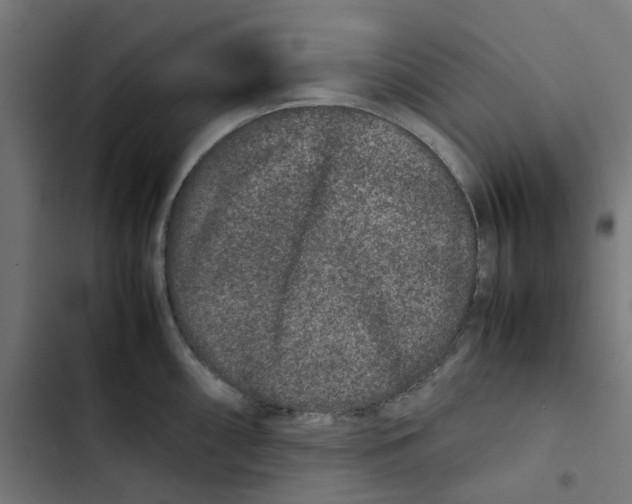 X0000102511098200809051404