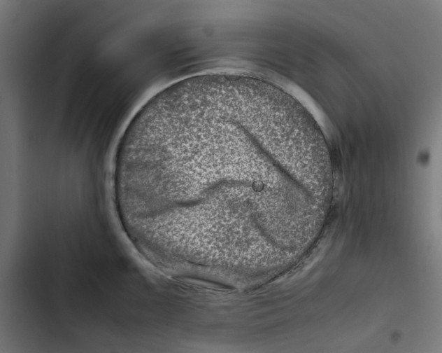 X0000102511099200809051404
