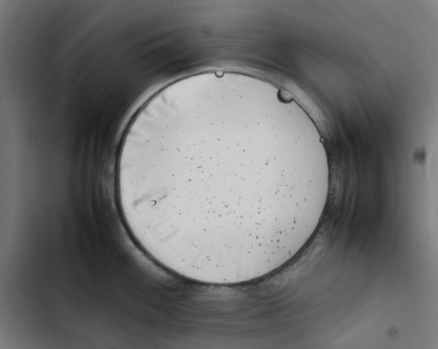 X0000102511100200809051404