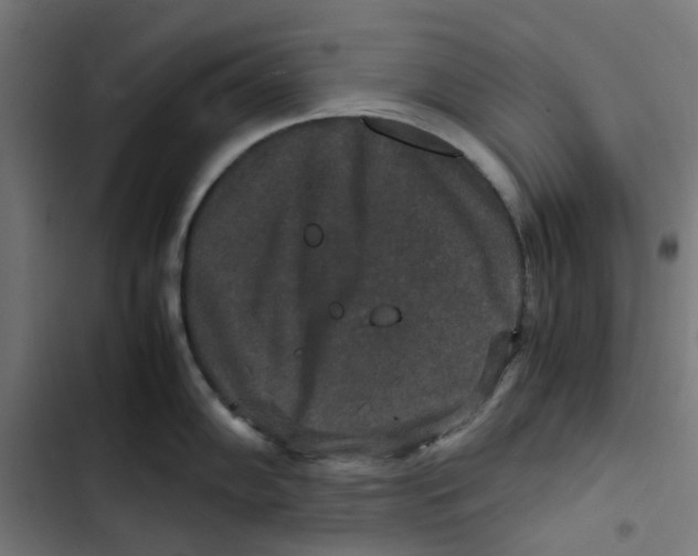 X0000102511102200809051404