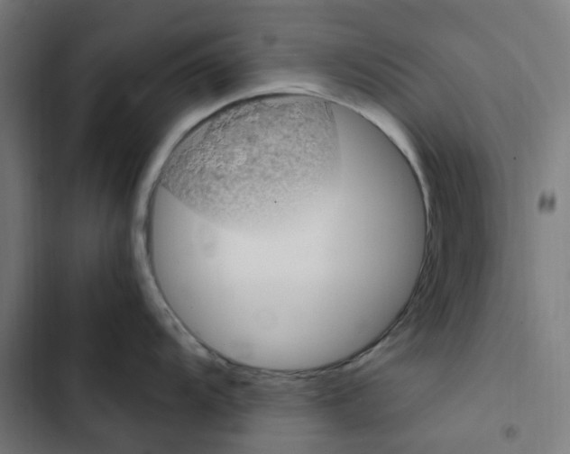 X0000102511104200809051404