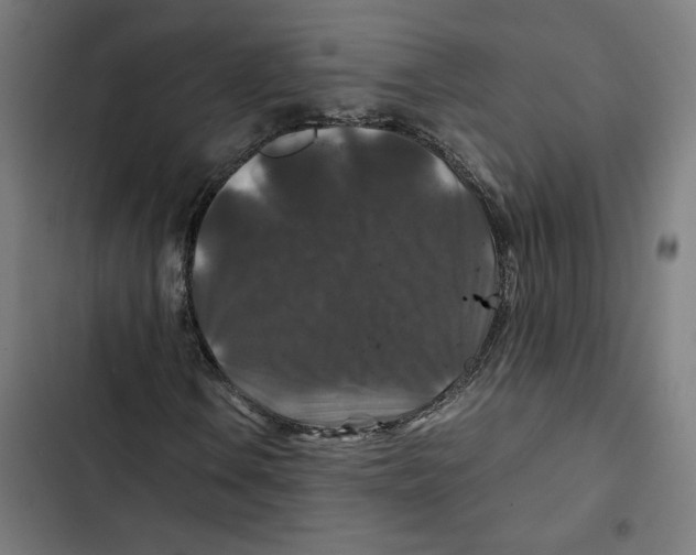 X0000102511106200809051403