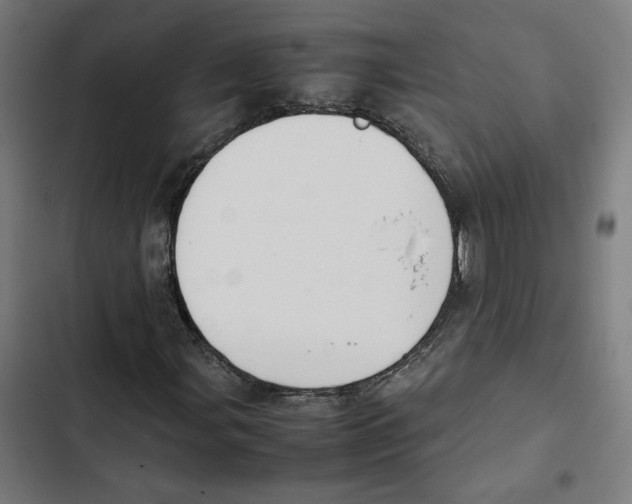 X0000102511107200809051403