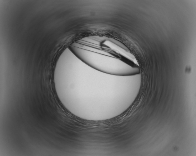 X0000102511108200809051403