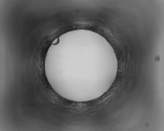 X0000102511109200809051403