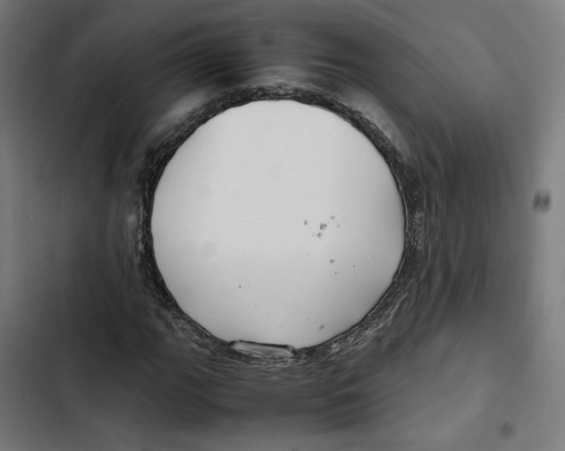 X0000102511111200809051403