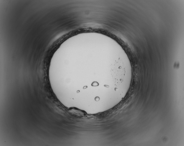 X0000102511112200809051403