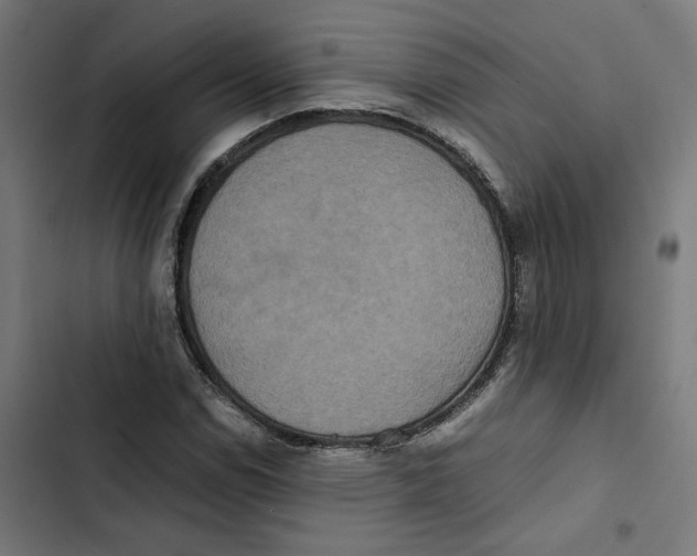 X0000102511114200809051403