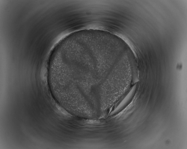 X0000102511115200809051403