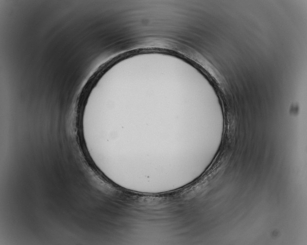 X0000102511116200809051403