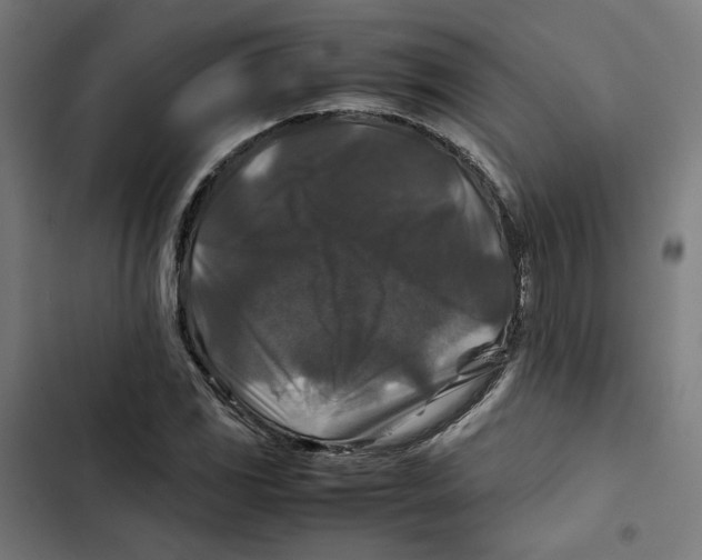 X0000102511117200809051403