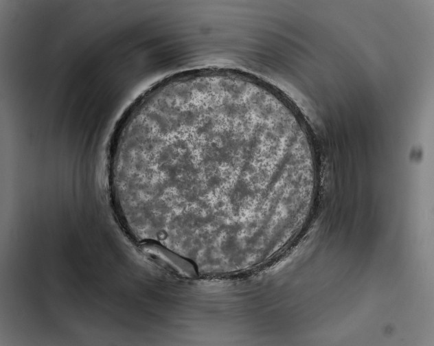 X0000102511118200809051403