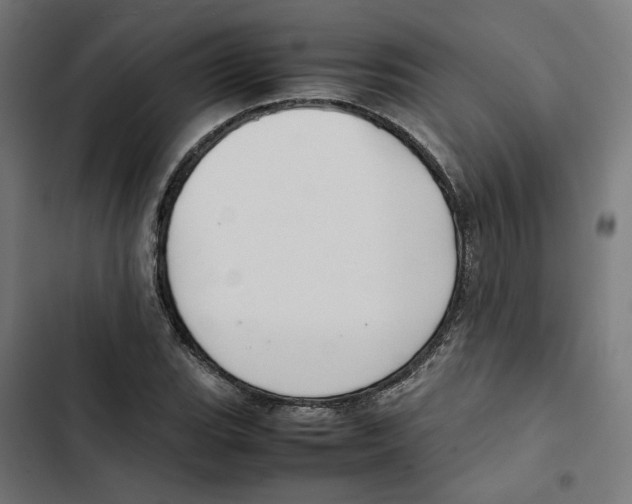 X0000102511119200809051403