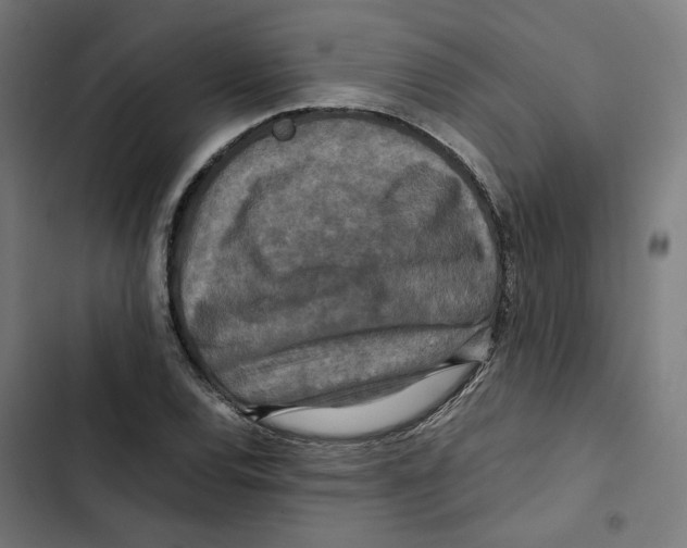 X0000102511120200809051403