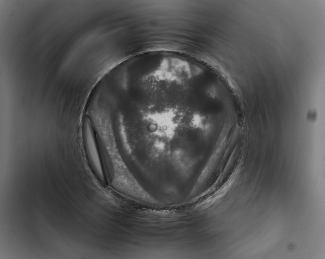 X0000102511121200809051403