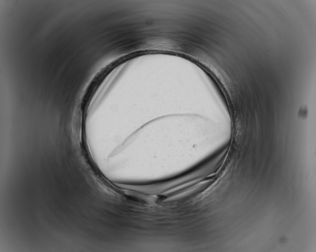 X0000102511123200809051403