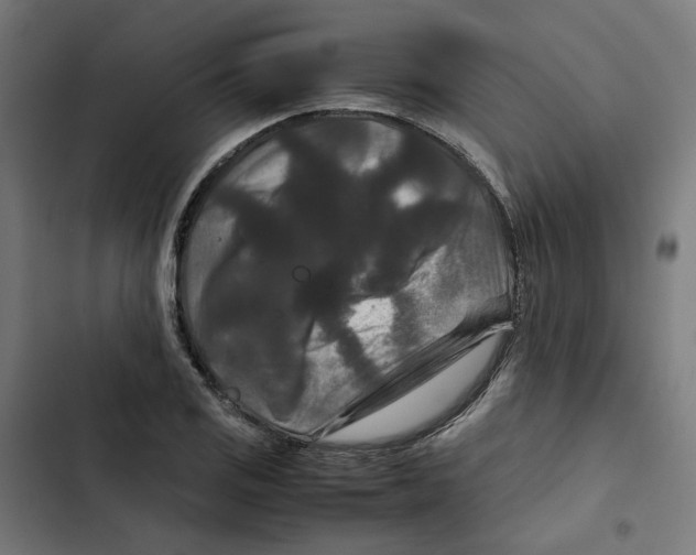 X0000102511125200809051403