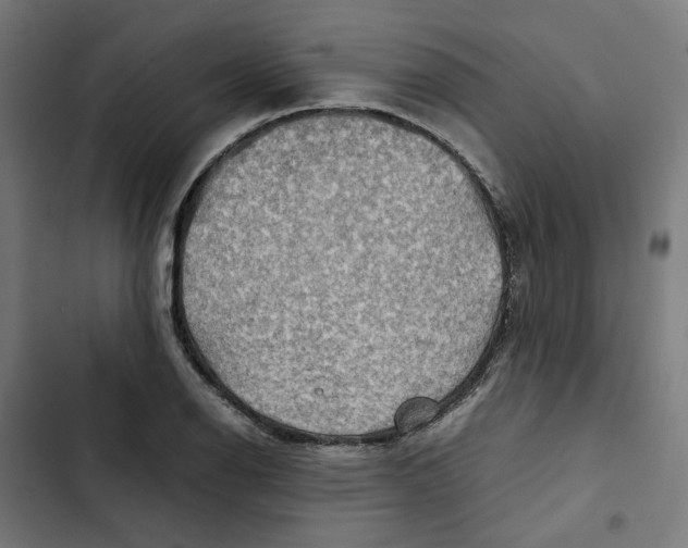 X0000102511126200809051403