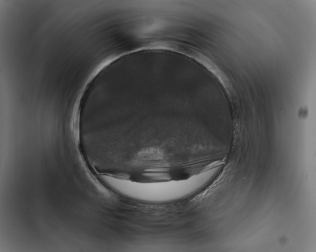 X0000102511127200809051403