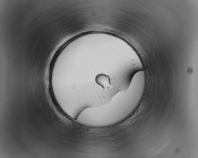X0000102511128200809051403