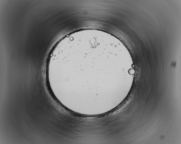 X0000102511130200809051404
