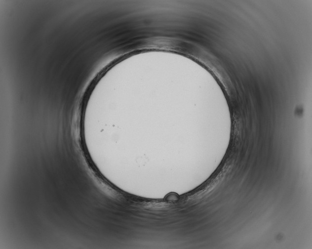 X0000102511131200809051404