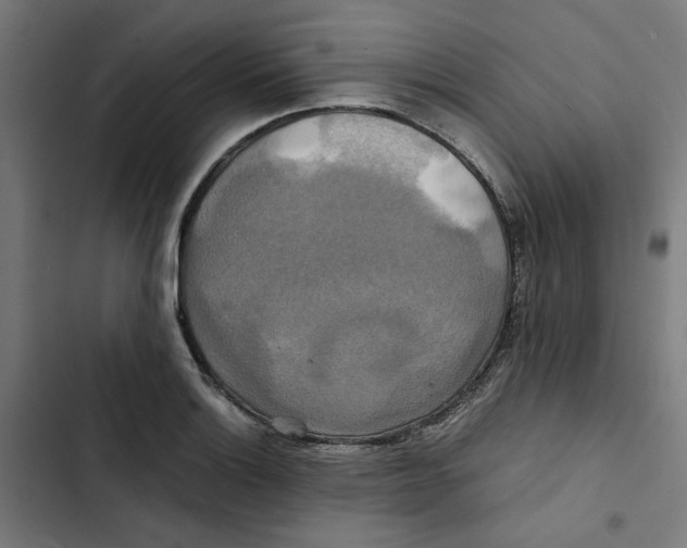 X0000102511132200809051404