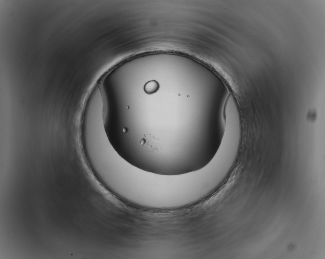 X0000102511134200809051404