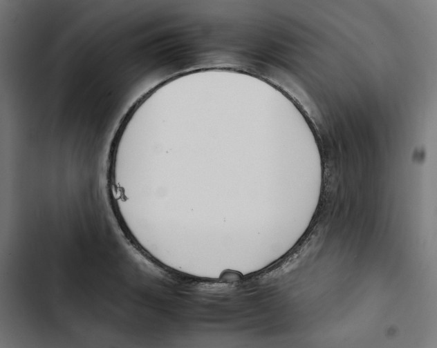 X0000102511135200809051404