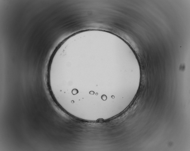 X0000102511136200809051404