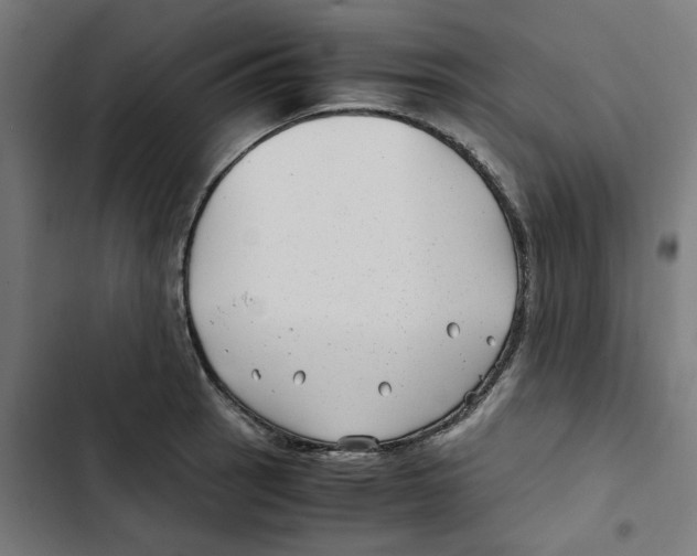 X0000102511137200809051404
