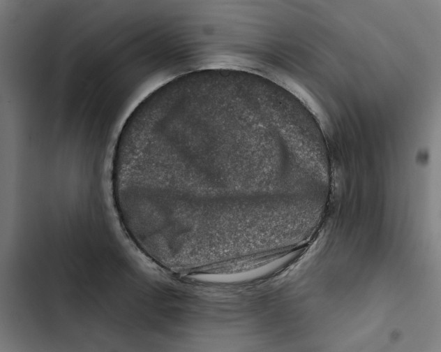 X0000102511138200809051404