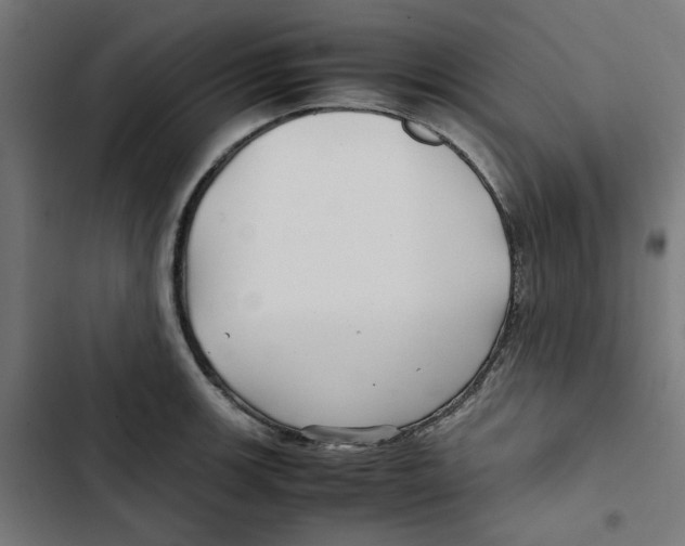 X0000102511139200809051404